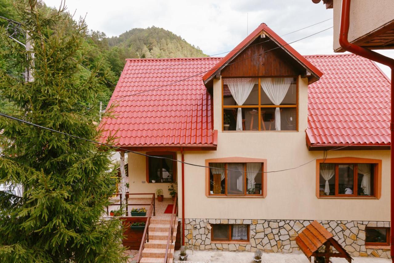 Pensiunea Luka Slanic Moldova Slănic-Moldova Exterior foto